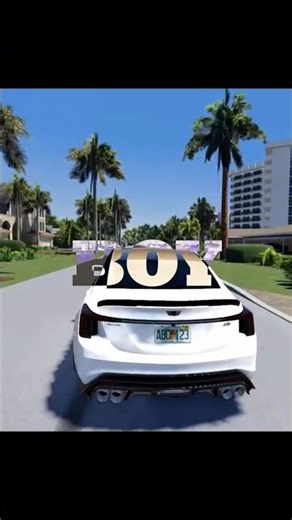 The Southwest Florida Revamp will be PEAK
