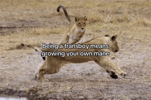 Embracing Identity: The Journey of a Transboy