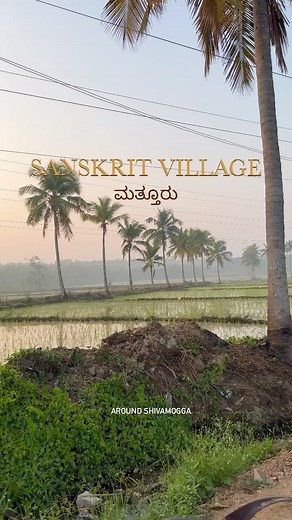 Around ಶಿವಮೊಗ್ಗ on Instagram: "Matturu village near Shivamogga, Karnataka on the banks of Tunga. It is notable mainly for being a rare place where one may find a pristine agrahāra still brimming with Sanskrit, Vedic and Vedantic study and practice. According to copper plate inscriptions preserved by the archaeology department, Mattur along with neighbouring Hosahalli, were gifted to the people by the emperor of Vijayanagara in 1512. Sanskrit is the main language of a majority of the residents of