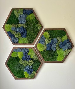 Honeycomb Moss Wall Art: Reindeer & Sheet Moss in Wood Hexagon | USA - TARIFF FREE - Etsy