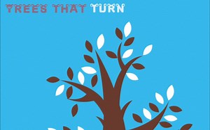 【树先生】来给小P整理内芯 文件分类让psp内部变整洁