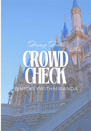 Essential Disney Tips for Planning Your Visit