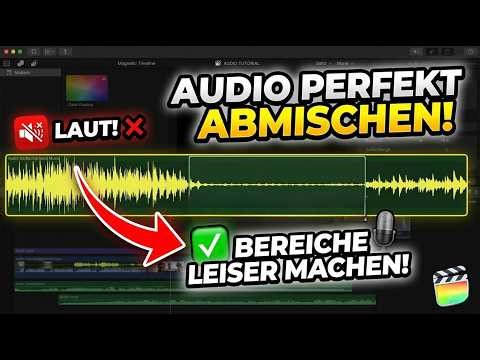Audio PERFEKT anpassen in Final Cut Pro: Bereiche leiser machen
