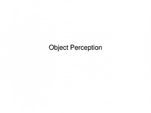Object Perception - SlideServe
