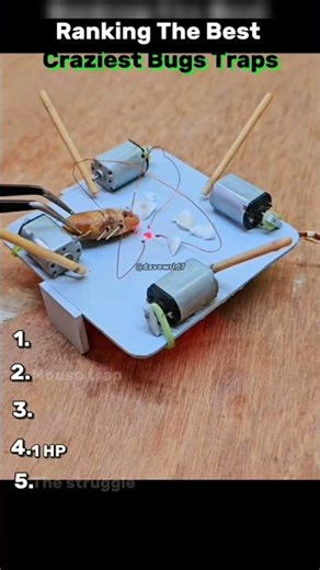 Ranking The Best Craziest Bugs Traps