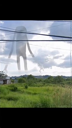 creatures officially coming from 2nd dimension