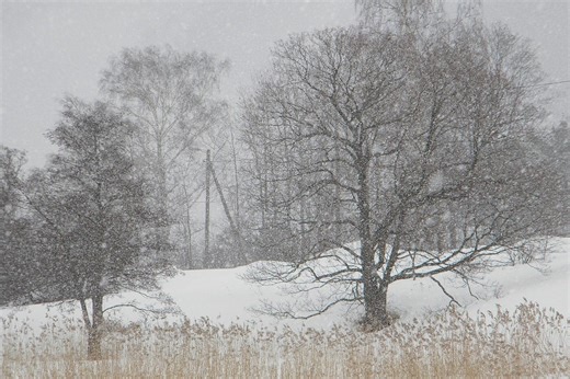 Boston Blizzard: Heavy Snow, High Winds and Parking Ban
