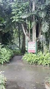 Kandy Peradeniya Botanical Garden Vlog | Exploring Sri Lanka’s Most Beautiful Garden🍃🌱✨