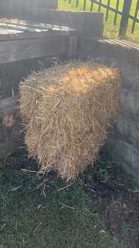 What Does Your Compost Pile Need During Winter?