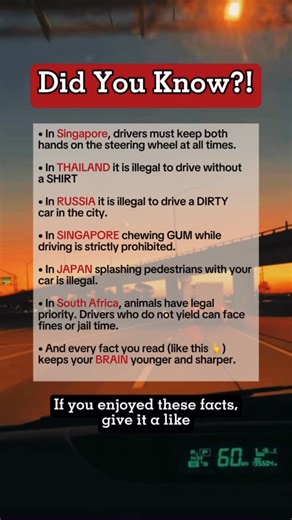 unusual driving laws from around the world #facts #fblifestyle #virals | Time Facts