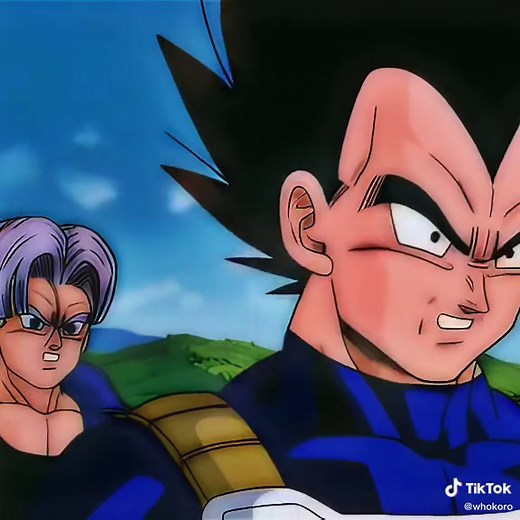 vegetas the funniest abridged character #dbz #db #fyp #anitok #anime #animeedit #animetiktok #whokoro #realsyncz #camiel #fwasta #fwtoco #mahjins