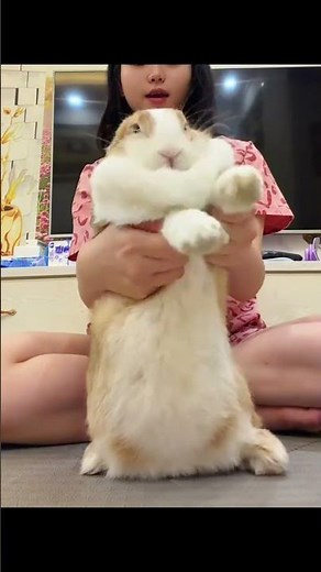 Lai CAI Wishes Success at the World Cup - Wakawaka Dance Challenge with Empress Rabbit