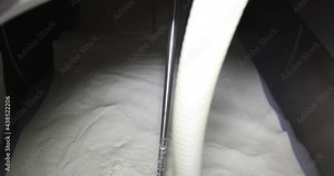 Filling tank with milk. Storage milk in a large stainless steel cistern after milking cows in the dairy farm