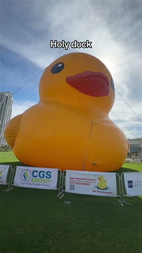 The World’s Largest Duck…