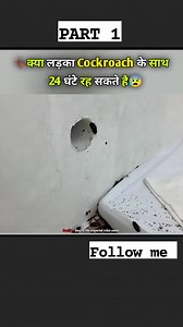 लाख Cockroach Vs एक लड़का #shorts #movieexplanation #viralreels #trendingreels #funnyreels #video #viral #trending #movies #movie #comdeymovie | The entertainment
