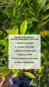 FOODS THAT SHAULD NOT BE CONSUMET TOGETHER #Quotes #Motivation #Inspiration #InternationalQuotes #Globalinspiration #Lifestories | Zidan Arrosyid