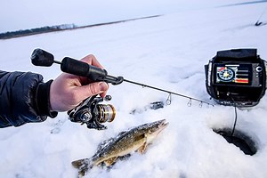Ice Fishing Rods: 10 Top Picks That Will Help You Catch Your Limit