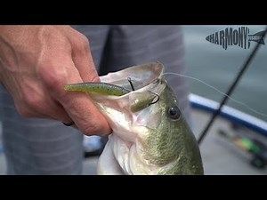 How To Rig The Wacky Rig - Harmony's Wacky Rings and Wacky Tool Tutorial