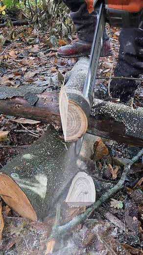 Stake Pointing | Mike Pepler