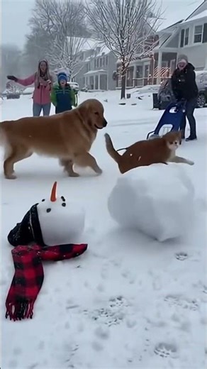Snowflakes and Warm Hearts: A True American Winter😱💥