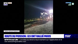 L'édition 2022 de la route du poisson s'est achevée dimanche, les chevaux de trait ont terminé leur périple face à l'Élysée avec du poisson frais remis au chef des cuisines du palais | BFM Grand Lille