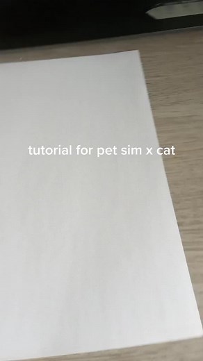 Cat Drawing Tutorial for Pet Sim X Fans