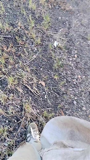 Tomyarto Source (@tommy.repo)’s videos with original sound - Tomyarto Source