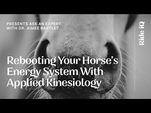 Rebooting Your Horse's Energy System with Applied Kinesiology, with Dr. Aimee Barlet