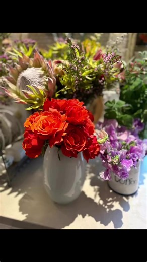 Botanical Knitting by Sue on Reels