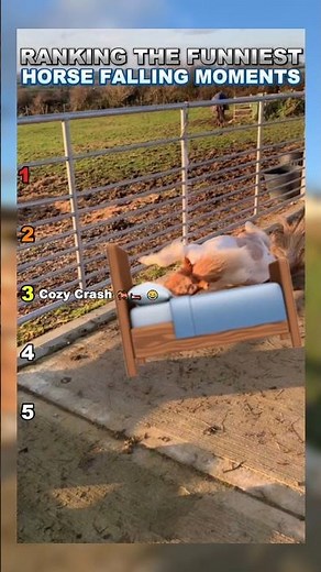 Top 5 Horse Fails That Made Us Laugh! 🐴🐎 #ranking #funny #horse #fall #fail #fails #memes