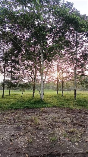 Videos de 🎀TU BLANQUITA LULÚ🤍🏳️‍🌈 (@lumar.11) con “sonido original - Anderson Raura”