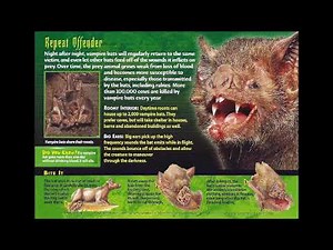 02 Weird N Wild Creatures Nightmares of Nature