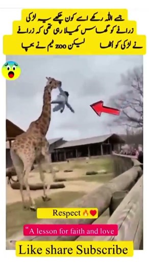 Allah is great ☝️ respect 💯 #shorts #viral #trending #status #like #fyp #motivation #allah