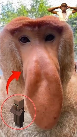 Ranking the Funniest Monkey Moments 🐒💀 Last One Looks Like a Villager IRL! #shorts