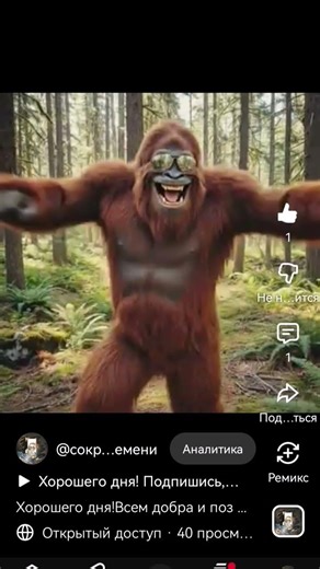 #cat #video #юмор #art