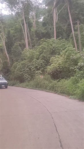 Moving out from another Energization today #SitioElectrificationProgram #SEP #CeremonialEnergization #CommunityEmpowerment #EnergyForAll #RuralDevelopment #Purok5LowerDigkilaan #SitioMigbalete #BarangayMahayahay #ManticaoMisamisOriental #BrightFuture #PowerToThePeople #SustainableEnergy #ElectricityForAll #EmpoweringCommunities Mayor Stephen Tan #vmbobbylagrosas #DirDominiqueAsok | MORESCO-1