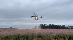 Today’s mission..Fungicide application to Radish Crop, AgSmart UAV & DJI Agriculture, providing real solutions to Canterbury growers and farmers since 2018. | Ag-Smart UAV