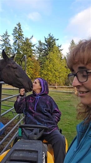 #horses #horselife #horsegirls #trailhorse #pnw | Just Get Out and Ride - Horse Trailriding adventures in the PNW