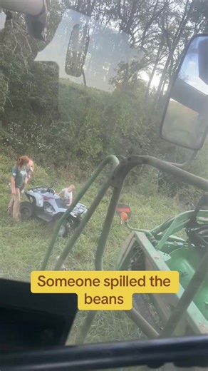 Bean Harvest 2025: Checking on the Farm