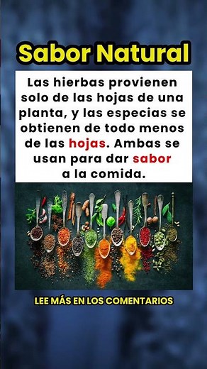 ¿Cuál es la diferencia entre hierbas y especias? 🌿