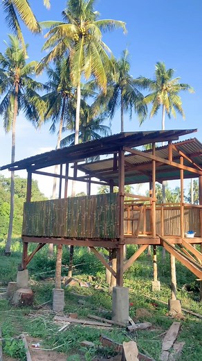Day 14 sa project na Mini Goat House. #farminglife #trusttheprocess #noanimalswereharmedinthisvideo #foryoupageシ #farmlife #farming #goathouse #goatfarming | Bon Kerry