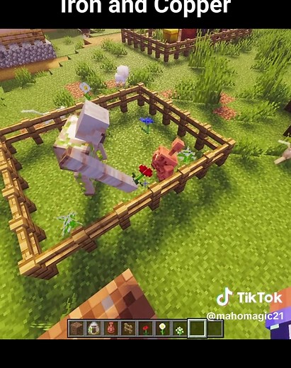 Iron and Copper in Minecraft: The New Golems