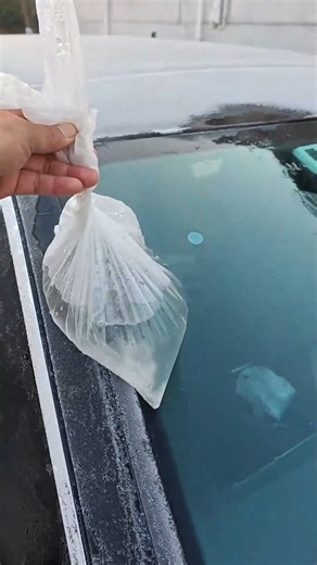 The Easiest Way to Defrost Your Car Window ❄️🚗 | Simple Life