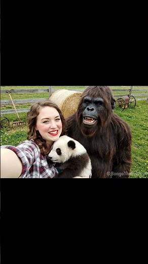 Funny Bigfoot Sighting Caught on Camera 🐼 | Hilarious Bigfoot Vlog Compilation Moment