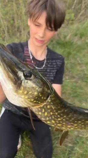 Beau brochet de 78 en étang privé 🤩🐟 #pêche #fishing #pecheur