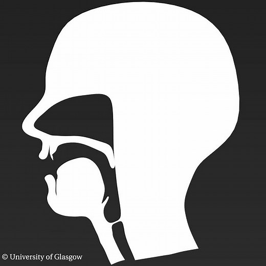 voiced palatal plosive