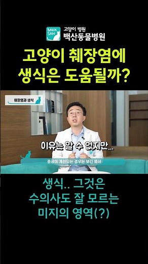 모르는건 모른다고 말하는 수의사 (feat 고양이 췌장염과 생식)