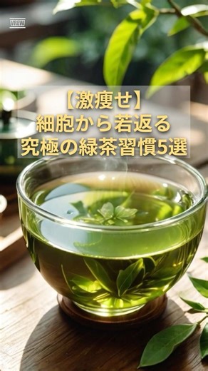 【激痩せ】細胞から若返る究極の緑茶習慣５選