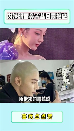 內娛明星鼻子基因震撼感