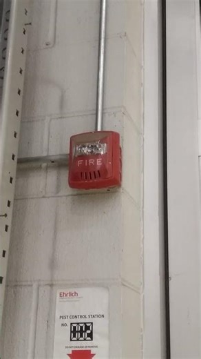 Wheelock Exceeder HSR Horn Strobe